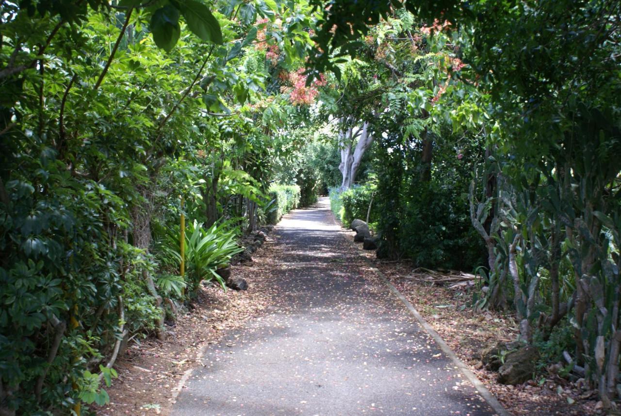 Waimea Bay Garden Bunglaow Villa Haleiwa Buitenkant foto